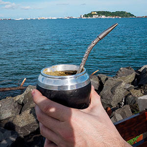BUENAS: LES PRESENTO AL MATE...